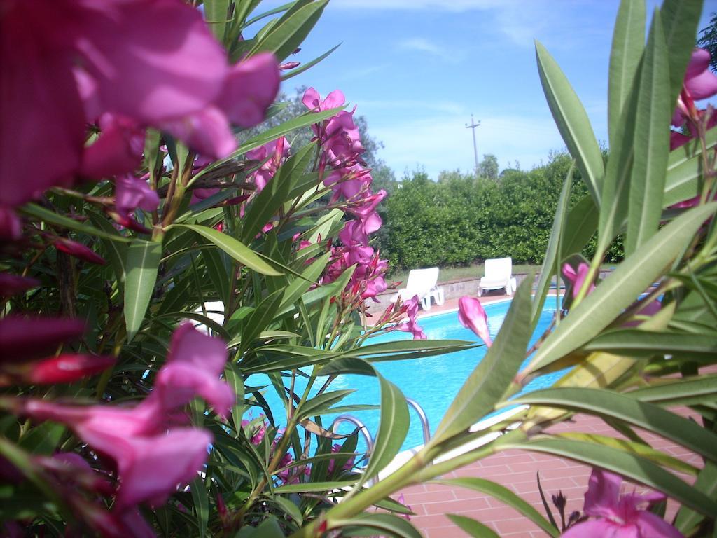 Azienda Agrituristica Allumiere Villa Campiglia Marittima Exterior foto